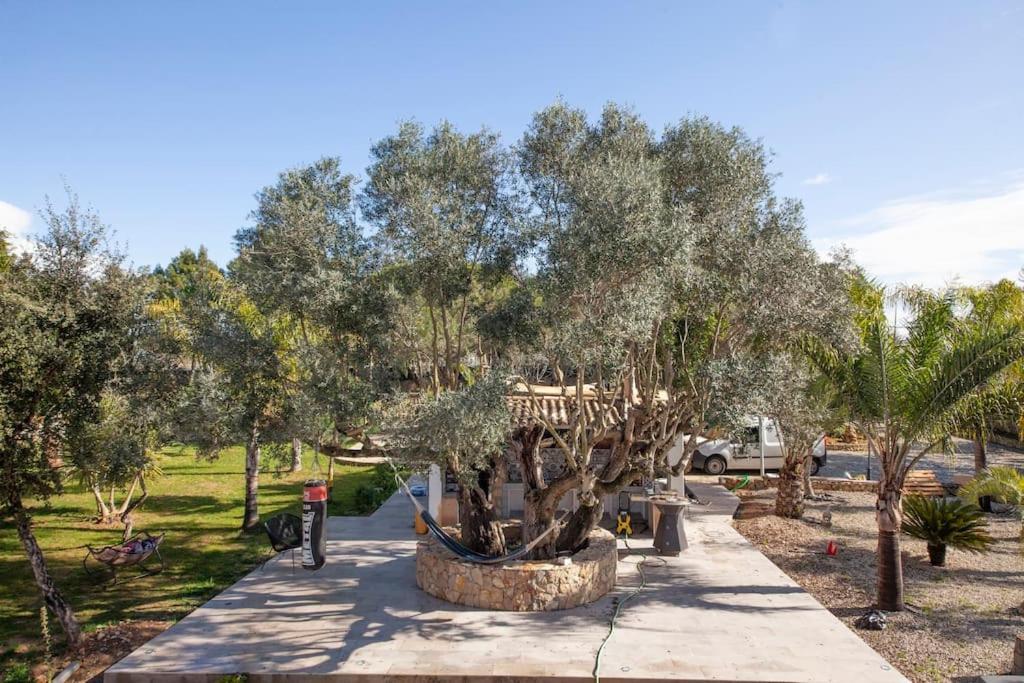 Casa Petit Paraiso 라고아 외부 사진